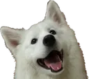 smileshoob