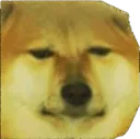 CheemsWeird
