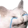 cri