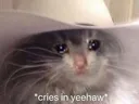 C_Cries_in_Yeehaw