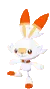 ScorbunnyIdle
