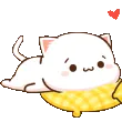 nyasCozy1