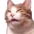 tedescHuh