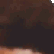 TE_TriKool2