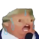 MiniTrumpSweatMicrophone MiniTrumpSweatMicrophone