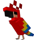 parrot4