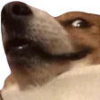 hehehe hehehe