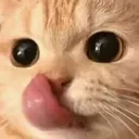 mlem
