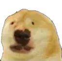 walge