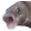 OOOO