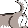 Dog_Butt