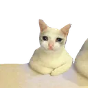 sadsitsmol