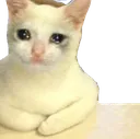 sadsitcat