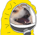SC_DoggoSick Discord emoji