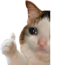 weg