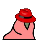 redhatparrot