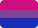 bi_flag