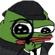 pepoD pepoD