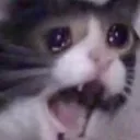 mWAA