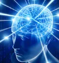 BigBrain