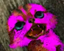 aaaaahhh