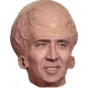 bigbrainnic