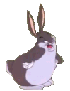 :chungusfacts: Discord Emote