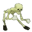 BoneZoneD