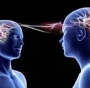 samebrain samebrain