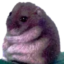 sadfatass