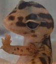 :juststop: Discord Emote