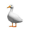 3duk