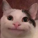 catsmile