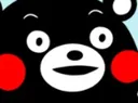 kumamon kumamon