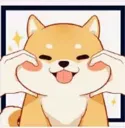 Happy_squosh