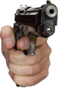 gun