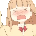 SB_MiyanoAkjs