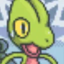 Treecko_Surprised