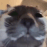 :smoulderingstare: