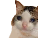 weok