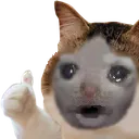 wepog wepog