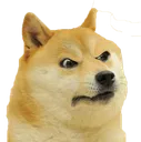angerydoge angerydoge