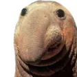 jabjabJab