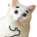 c_thumbsupcat Discord Emoji