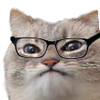 nerdest