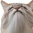 droopest