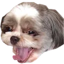 dogeKEKW