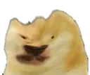 bonkedwalge