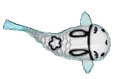 bunnykoi