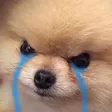 angeryCry